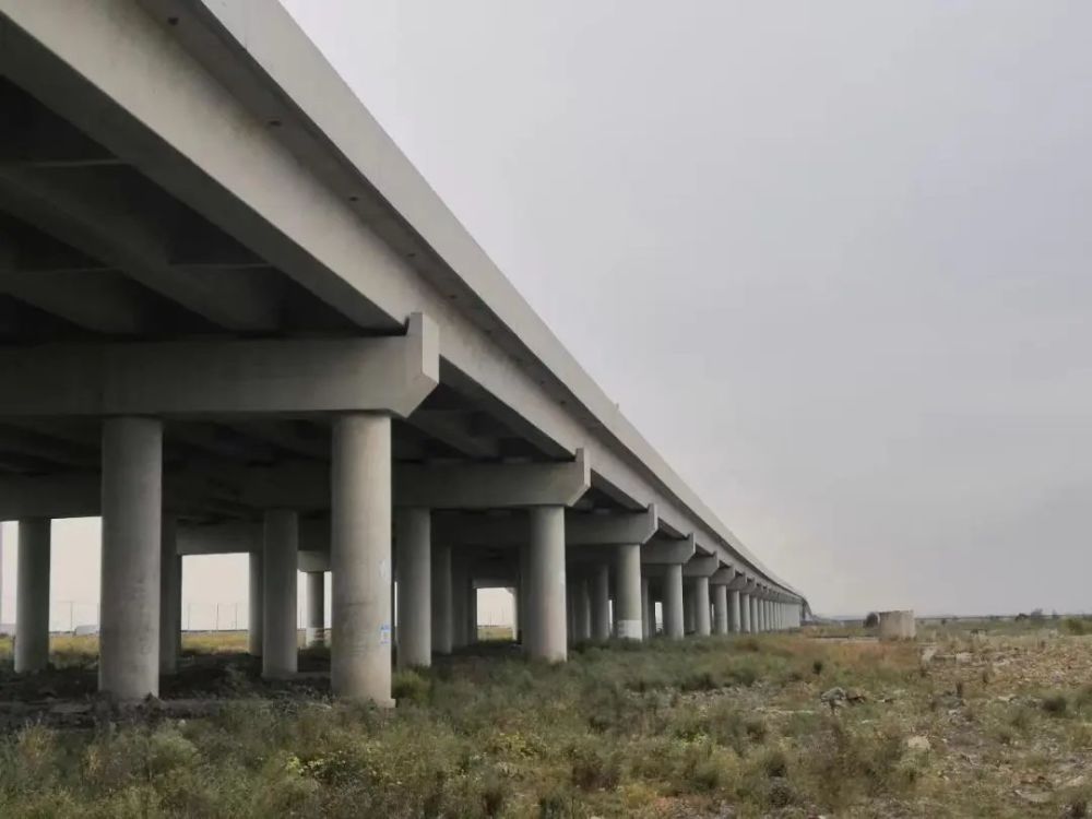 點(diǎn)贊！浙江省科學(xué)技術(shù)進(jìn)步獎二等獎花落公路工程建筑領(lǐng)域